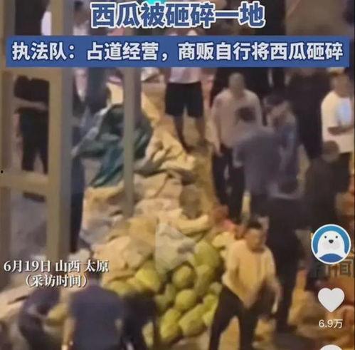 勉县吃瓜事件真相揭秘视频,揭秘背后真相与争议