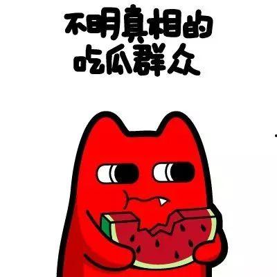 吃瓜群众看别人骂人视频,吃瓜群众的视角解读