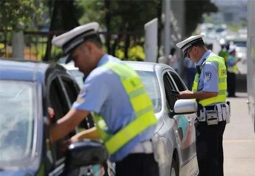 吃瓜交警赵先生视频下载,下载量突破百万