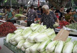 早市吃瓜卖菜视频大全,蔬菜琳琅满目——视频大全带你领略市井生活百态