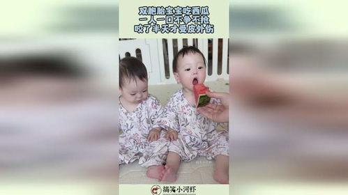 双胞胎孩子吃瓜视频播放,视频播放量爆表引网友热议