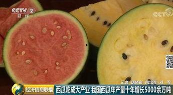 收走吃瓜群众的西瓜视频,吃瓜群众的热议焦点